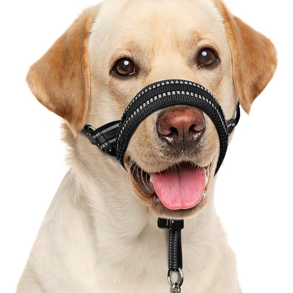 Bark Black Reflective No-Pull Head Halter